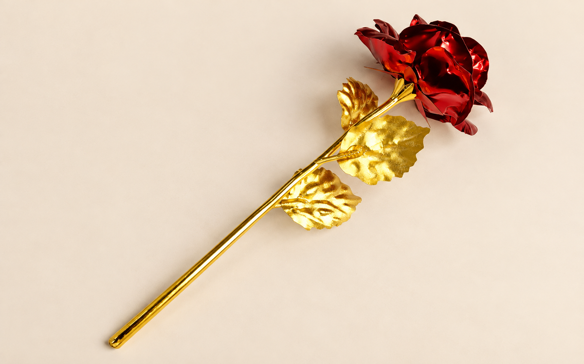 A Timeless Rose, A Forever Memory
